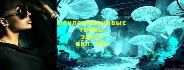 тгк Коряжма